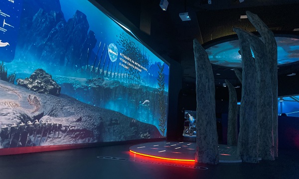 Кейс: парк Юрского периода в Москвариуме с проекторами Optoma