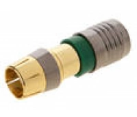 Kramer CON-COMP-RCA/M/RG-6-GOLD