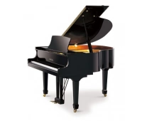 Рояль Pearl River BGP150A A111