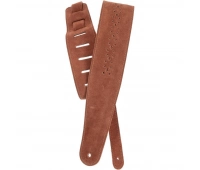 Planet Waves 25PRF04