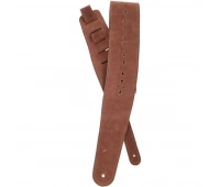 Planet Waves SV015