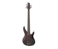 5 струнная бас-гитара Yamaha TRBX 505 TBN