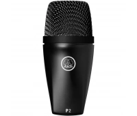 AKG P2