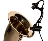 AUDIX ADX20iP