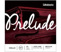 D`Addario J1010 1/4M