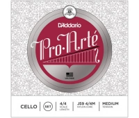 D`Addario J59 4/4M
