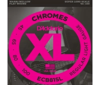 D`Addario ECB-81SL