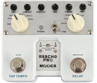 Двойная мини-педаль Digital Delay MOOER Reecho Pro