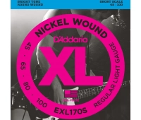 D`Addario EXL-170S