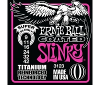 ERNIE BALL 3123