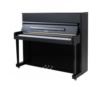 PETROF P 118P(1)(0801)