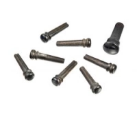 Planet Waves PWPS1
