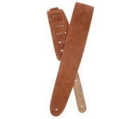 Planet Waves 25SS02-DX
