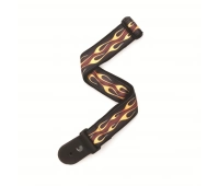 Planet Waves 50F09