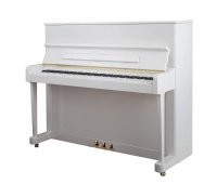 PETROF P 118P(1)(0001)