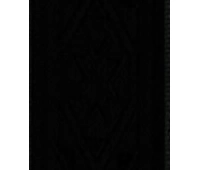 Planet Waves 50B01