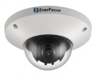 IP-камера купольная уличная EverFocus EDN-228