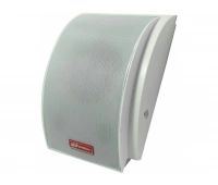 Громкоговоритель JDM WS-110W