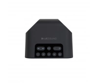 Hi-Fi медиаплеер со встроенной акустической системой Bluesound Pulse Flex 2i Black