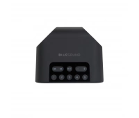 Bluesound Pulse Flex 2i Black