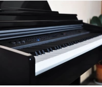 Цифровое фортепиано Artesia DP-150E Black