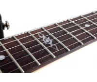 Гитара электрическая Schecter SGR SOLO II