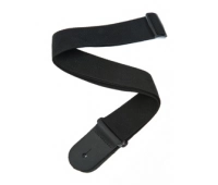 Planet Waves PWS100
