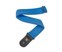 Planet Waves PWS102