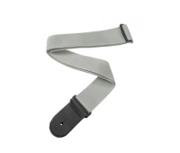 Planet Waves PWS105