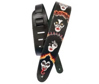 Planet Waves 25LK04