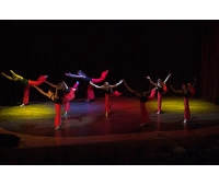 Robe COLORWASH 575 AT ZOOM