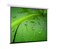Экран моторизированный настенно-потолочного крепления Viewscreen EBR-4303