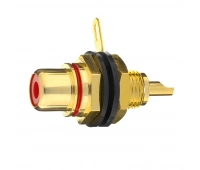 Biamp RED-1