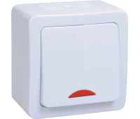 IEK ВС20-1-1-ГПБ 1 клавиша с инд. (EVMP11-K01-10-54-EC)