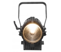 Светодиодный прожектор направленного света CHAUVET-PRO Ovation F-95WW