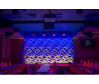 CHAUVET-PRO COLORado 2-Quad Zoom Tour