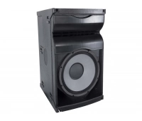Axiom AX1012P