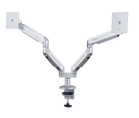 ErgoFount DFS-202DVC