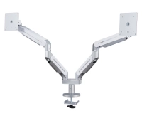ErgoFount DFS-202DVG