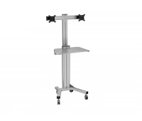 ErgoFount KFT 1601/2 Silver