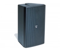 Компактный 2-полосный монитор JBL 60679