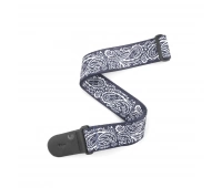 Planet Waves P20W1419