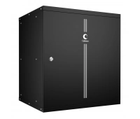 Шкаф настенный 19", 12U CABEUS WSC-05D-12U55/45m-BK (10182c)