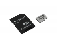 Transcend TS256GUSD300S-A
