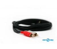 PROCAST Cable C-MJ/2RCA.2