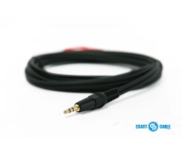 PROCAST Cable S-MJ/2RCA.2