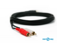 PROCAST Cable S-MJ/2RCA.2