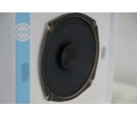 CVGaudio WPS6T