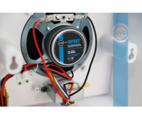 CVGaudio WPS6T