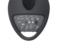 LD SYSTEMS MAUI 5 GO B